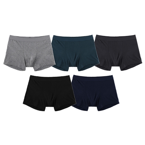 쌍방울 스탠다드 코튼 드로즈