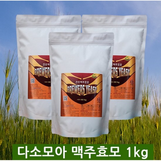 다소미아 맥주효모 1kg