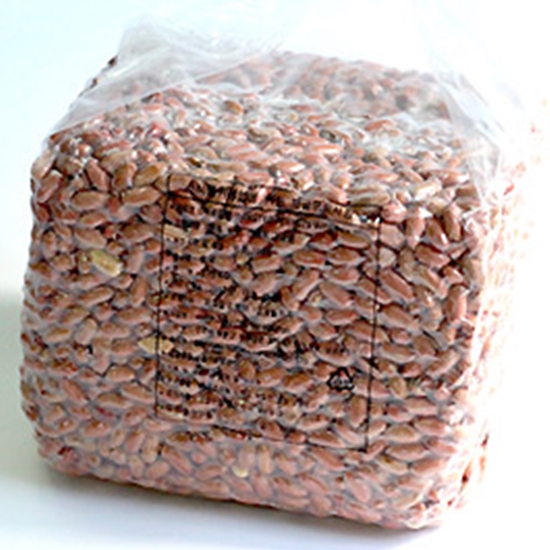 가온애 볶음땅콩 3.75kg