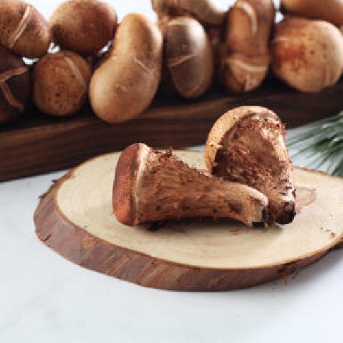 산아래참송이  향채움 국내산 참송이버섯 선물세트 1kg