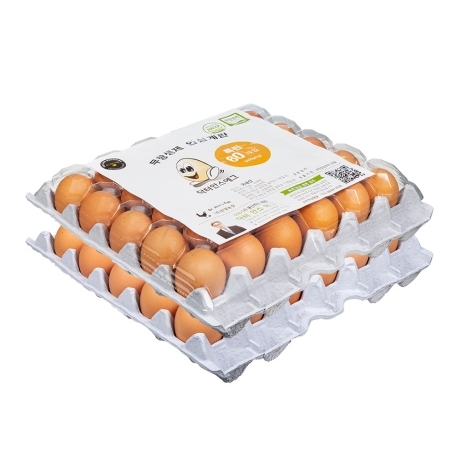 닥터안스에그 특란 60구