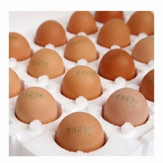 무항생제 방사유정란 40구