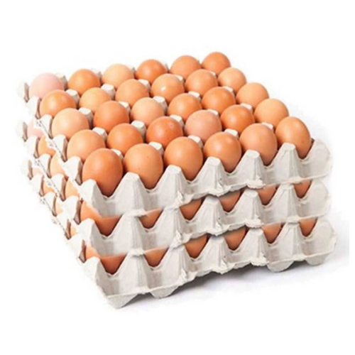 닥터안스에그 초란 90구