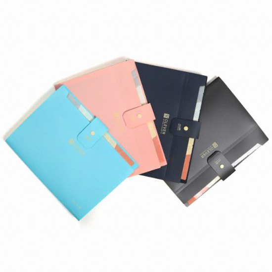 모닝글로리  5500 클레버 12분류 도큐멘트화일 A4