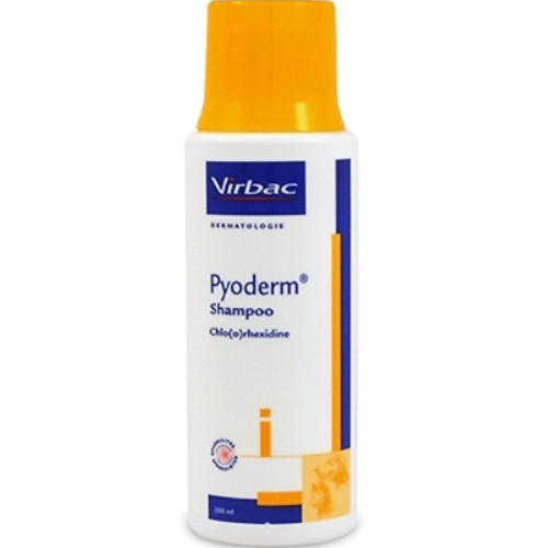 버박 파이오덤 약용샴푸 200ml