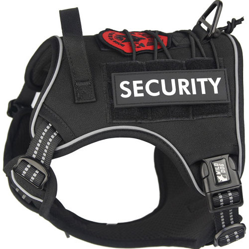 와일드독 아웃도어 앞섬방지 하네스 블랙