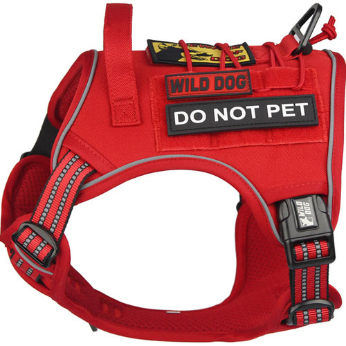 와일드독 아웃도어 앞섬방지 하네스 레드
