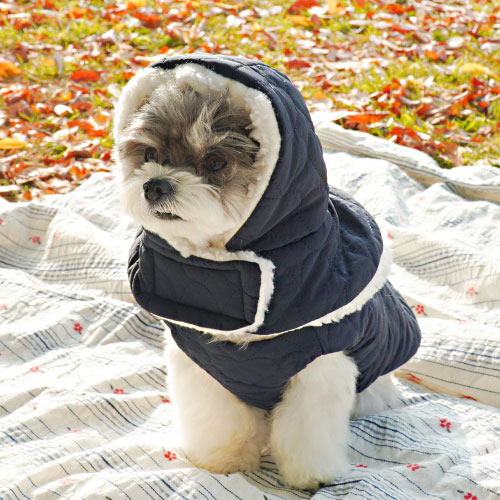 초코펫하우스 산책왕 패딩 귀돌이 모자 세트