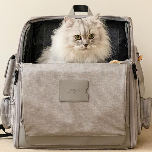 구루구루 반려동물 위고백 백팩 이동가방