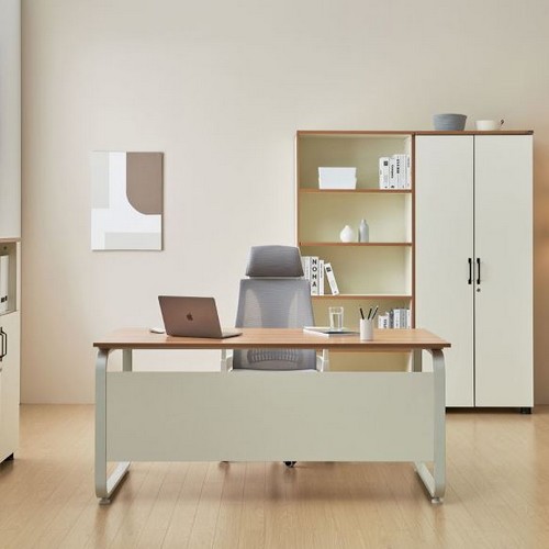 TS퍼니처 데임 LPM A형 책상용 책상