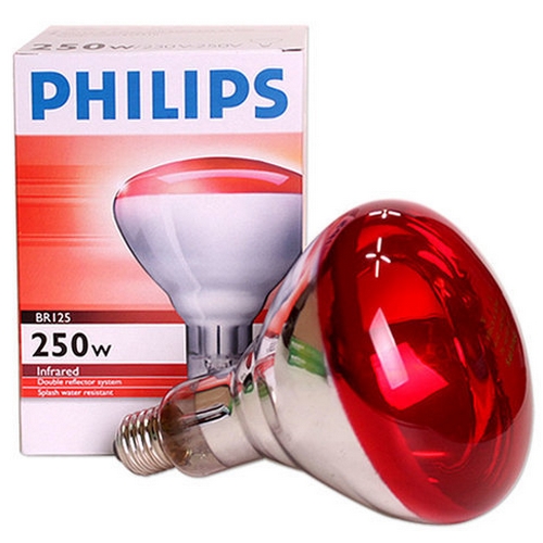 필립스  R95E 적외선 전구 250W