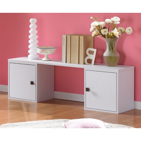 프라이드리빙 매직선반 도어형 대형공간박스(2단)