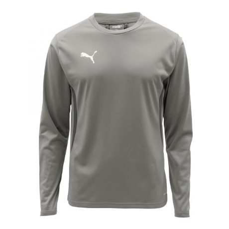 푸마 팀골 트레이닝 스웨트 ASIA SP 659450-13