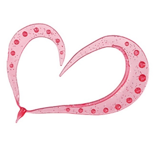 다이와  코우가 컬리빔 5.5인치