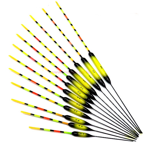 익투스  초절 C형 민물찌