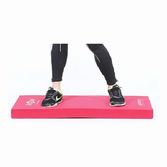 알푸스  스팀업