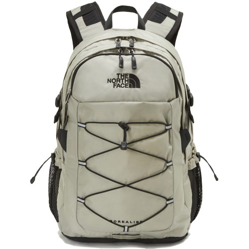노스페이스 보레알레스2 30L NM2DP03B