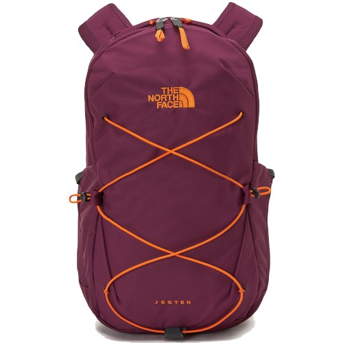 노스페이스 우먼 제스터 22L NM2SP71C