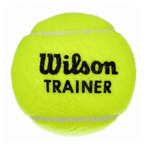 윌슨  트레이너 연습구