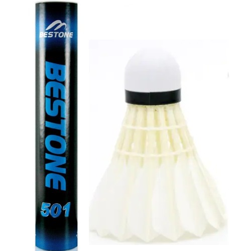 베스트원  BESTONE 501
