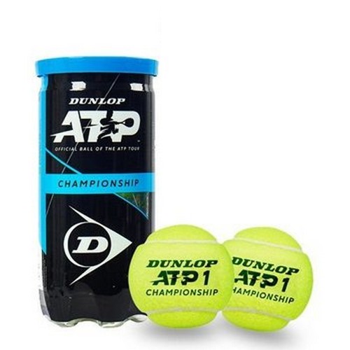 던롭  ATP 챔피언쉽