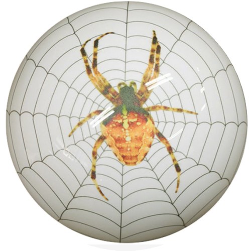 브랜드  PBS 스파이더 화이트 볼링공