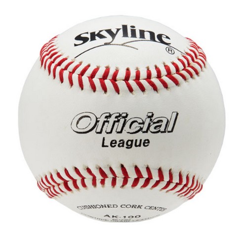 스카이라인  시합구 AK-100