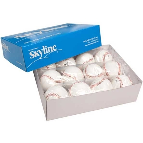 스카이라인  싸인볼