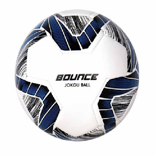 비바  바운스 족구공 4호