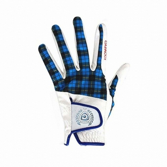 가파치  합피 기능성