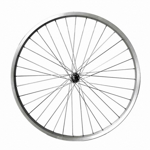 CS 보급형 완성림