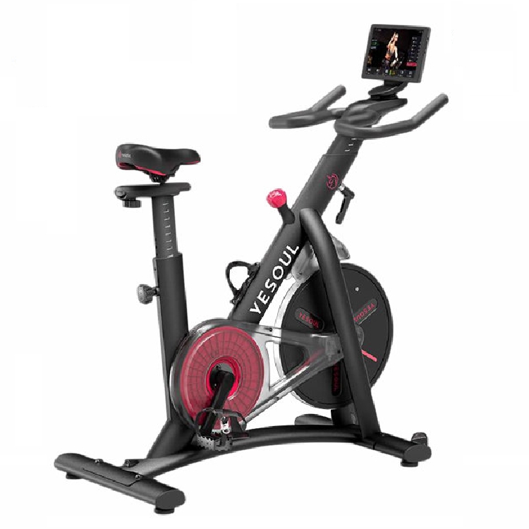 샤오미  YESOUL 스마트 스핀바이크 S3 (해외구매)