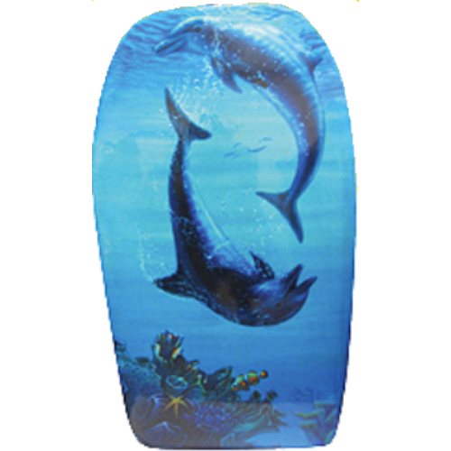 디코랜드  서핑스윔보드