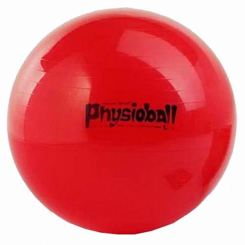레드라곰마  짐네스틱 피지오 짐볼 95cm