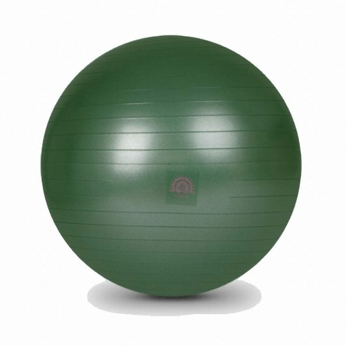 아따산  카르마 프리미엄 짐볼 65cm