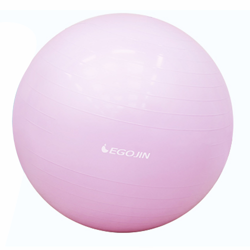 이고진  짐볼 65cm