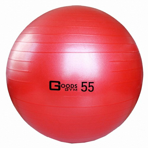 구스짐  프리미엄 짐볼 55cm