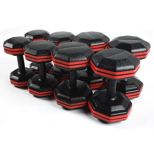 반석스포츠  레드라인 8각 아령