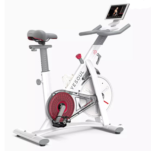 샤오미  YESOUL 스피닝 사이클 S1