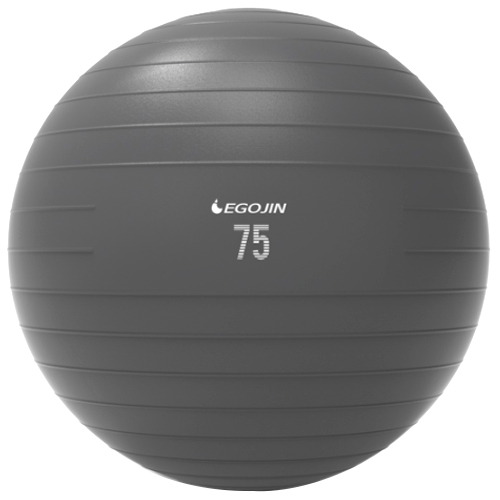 이고진  안티버스트 짐볼 75cm