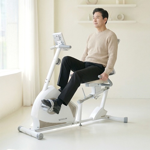 이고진  좌식 사이클 706R