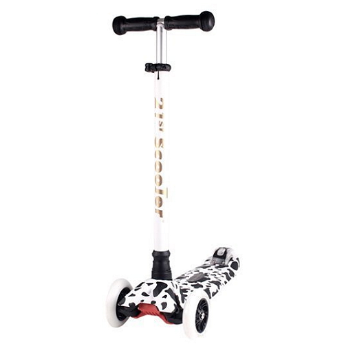 파파스토이  21st 스페셜 에디션 탈부착식