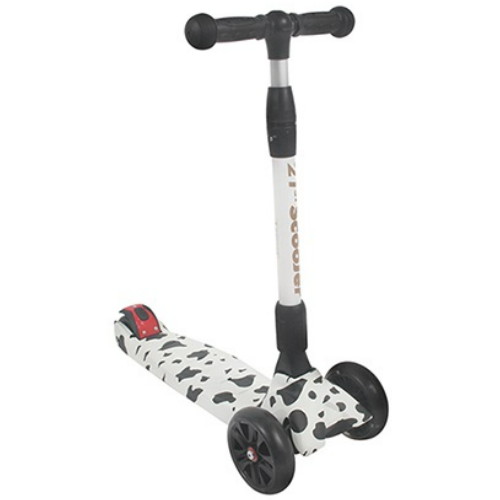 파파스토이  21st 스페셜 에디션 접이식