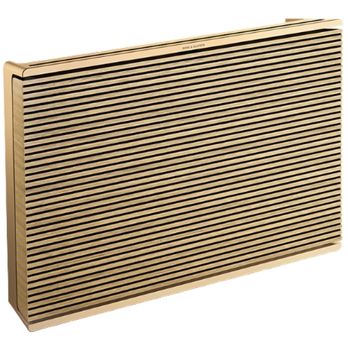 뱅앤올룹슨  Beosound Level Gold