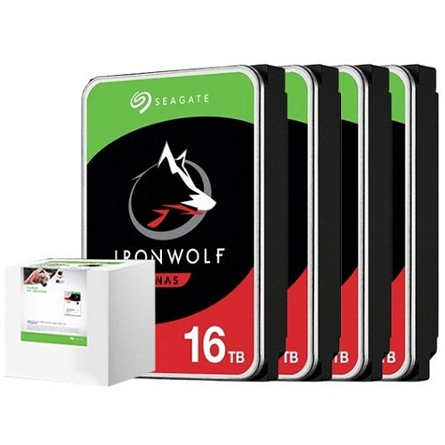 Seagate  IronWolf 패키지 7200/256M ST16000VN001