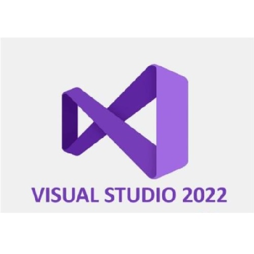 마이크로소프트  Visual Studio 2022 Professional 기업용