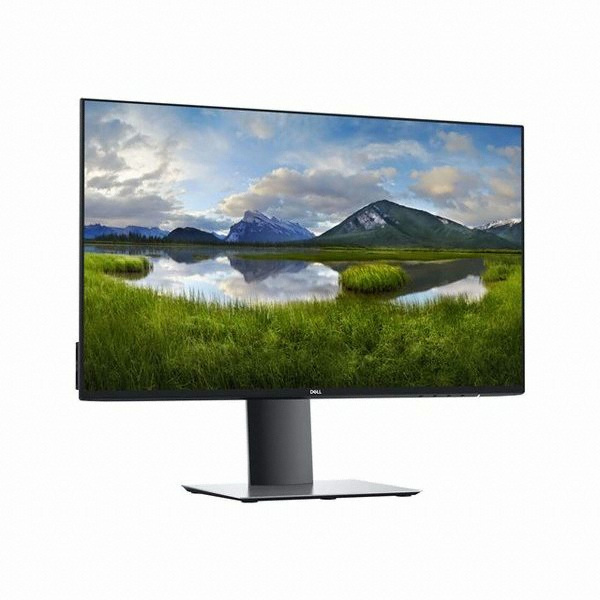 DELL UltraSharp U2419H