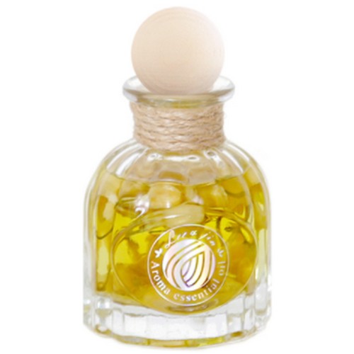 리앤진 아로마오일 차량용 디퓨저