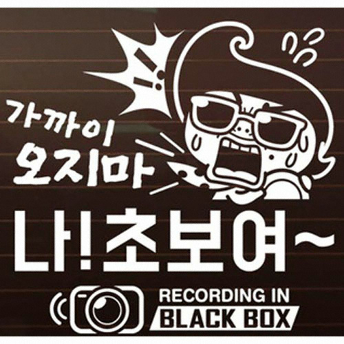 제제데코  가까이 오지마 나 초보여 2 회오리 초보운전 스티커