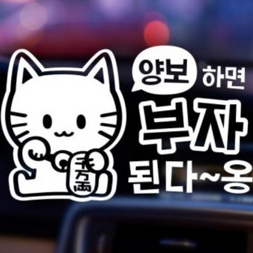제제데코  양보하면 부자된다옹 초보운전 스티커
